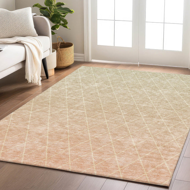Dalyn Lazio LZ2 Salmon Rug shown in a room