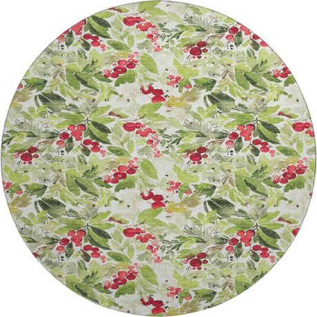 Dalyn Merry & Bright MY24 Aloe Rug round rug