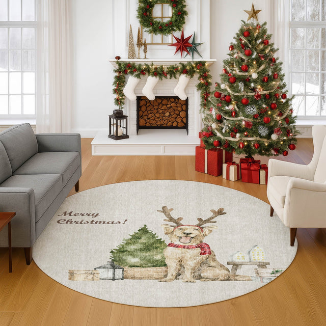 Dalyn Merry & Bright MY8 Beige Rug shown in a room