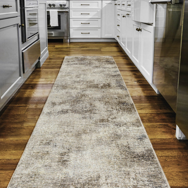 Dalyn Neola NA8 Machine Made Transitional Brown Rug
