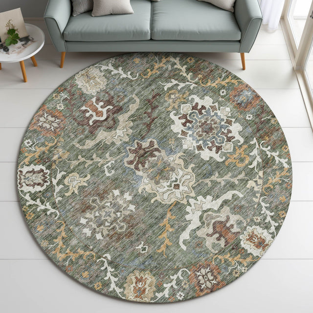 Dalyn Silk Road SR8 Basil Rug shown in a room