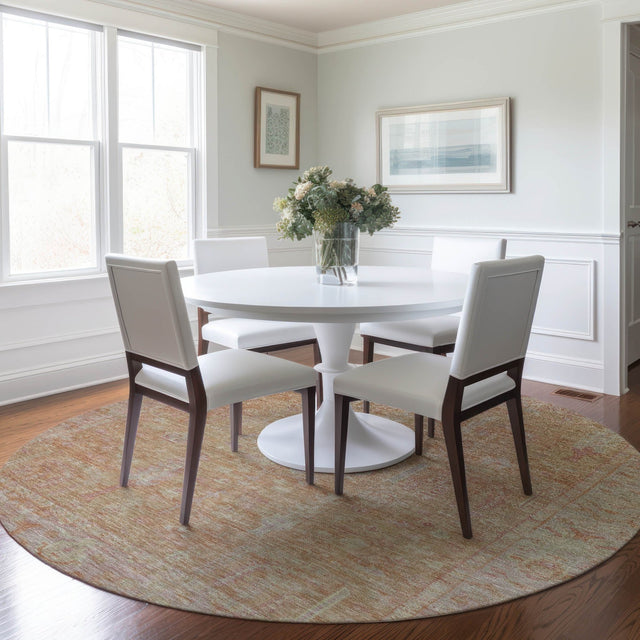 Dalyn Solace SL11 Coral Rug shown in a room