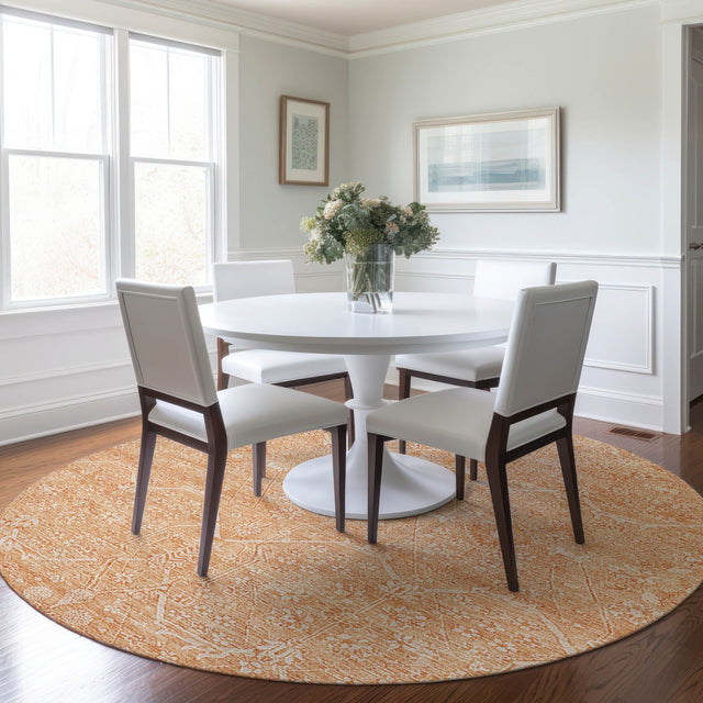 Dalyn Solace SL12 Salmon Rug shown in a room