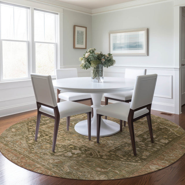 Dalyn Solace SL14 Fern Rug shown in a room