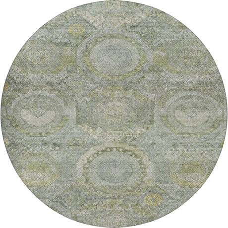 Dalyn Tabrook TB14 Sage Rug round rug