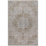 Dalyn Tabrook TB5 Chocolate Rug main image