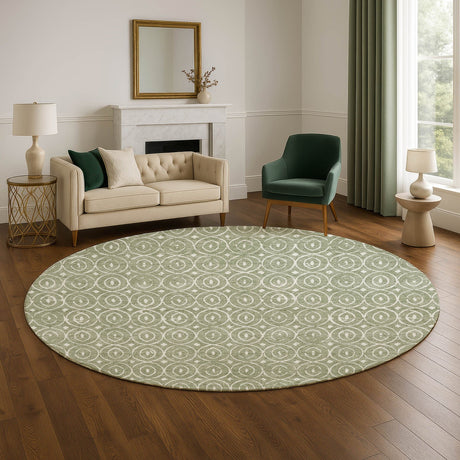 Dalyn The Reserve TR12 Fern Rug shown in a room