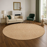 Dalyn The Reserve TR15 Copper Rug shown in a room