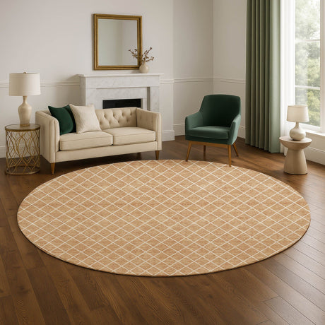 Dalyn The Reserve TR15 Copper Rug shown in a room