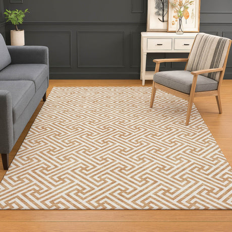 Dalyn The Reserve TR5 Copper Rug shown in a room