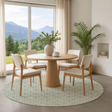 Dalyn The Reserve TR5 Sage Rug shown in a room