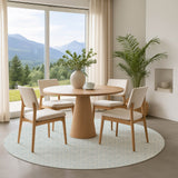 Dalyn The Reserve TR5 Sky Rug shown in a room