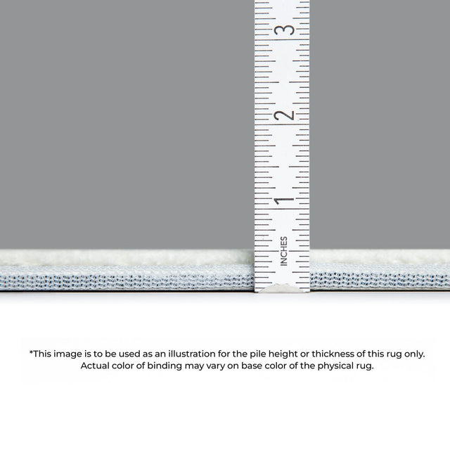 Dalyn The Reserve TR9 Copper Rug pile height detail