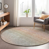 Dalyn Trevi TV11 Coral Rug shown in a room