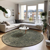 Dalyn Tuscany TU12 Green Rug shown in a room