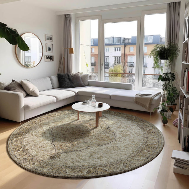 Dalyn Tuscany TU9 Gold Rug shown in a room