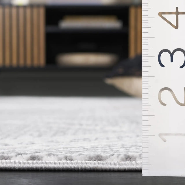 Safavieh Hanna 4'-0" x 6'-0" Rug in Grey / Ivory