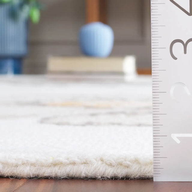 Safavieh Jardin 4'-0" x 6'-0" Rug in Ivory / Grey