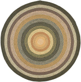 Safavieh Braided 5'-0" x 5'-0" Rug in Multi