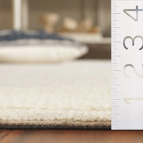 Safavieh Ebony 4'-0" x 6'-0" Rug in Grey / Ivory