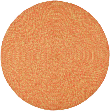 Safavieh Braided 6'-0" x 6'-0" Rug in Multi