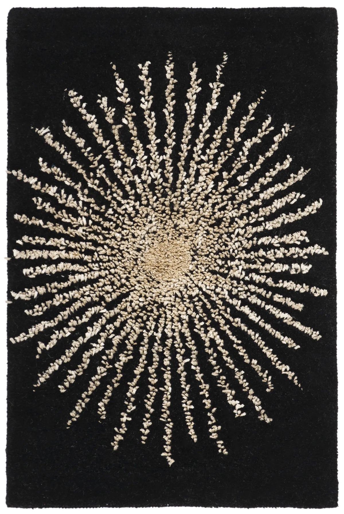 Safavieh Soho 2'-0" x 3'-0" Rug in Black / Beige