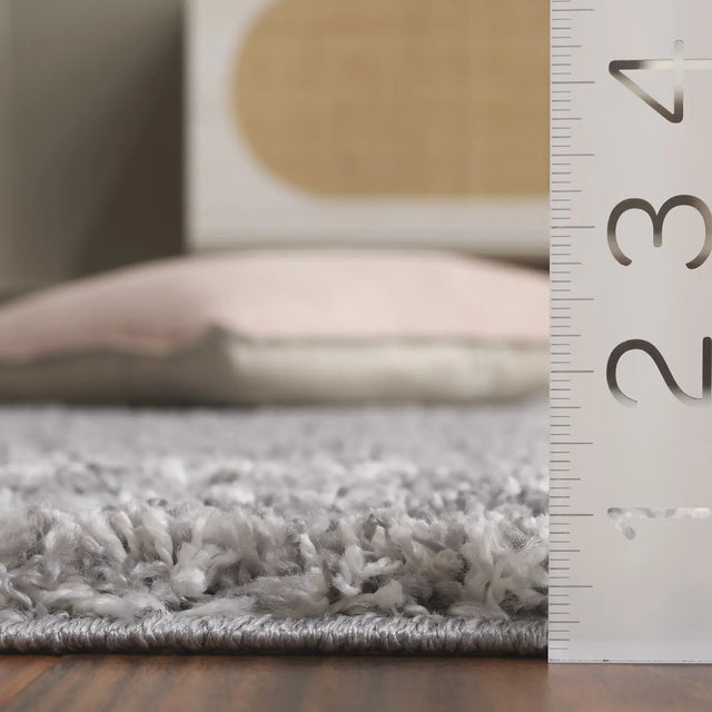 Safavieh Border & Stripe Shag 200 4'-5" x 6'-5" Rug in Grey / Ivory