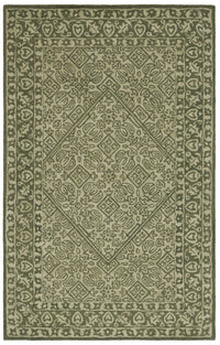 Safavieh Dip Dye Ddy151Y Green Area Rug