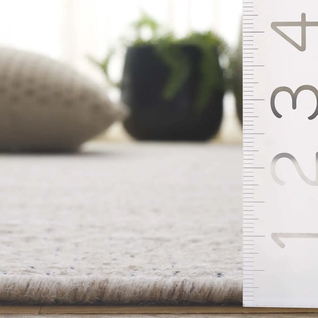 Safavieh Natura 4'-0" x 6'-0" Rug in Ivory / Beige