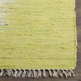 Safavieh Montauk 4'-0" x 6'-0" Rug in Ivory / Citron