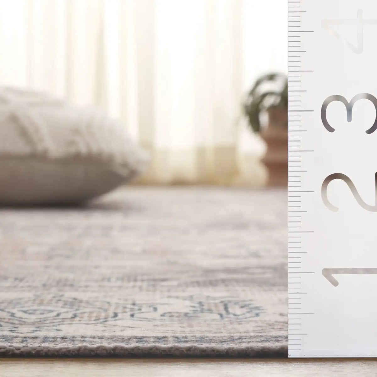 Safavieh Arizona 4'-0" x 6'-0" Rug in Beige / Grey