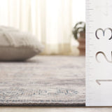 Safavieh Arizona 4'-0" x 6'-0" Rug in Beige / Grey