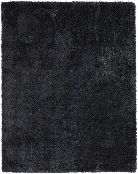 Feizy Darian Drn39K0F Black Area Rug