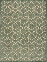 Nourison Horizon Indoor/Outdoor HOZ01 Green Contemporary Area Rugs