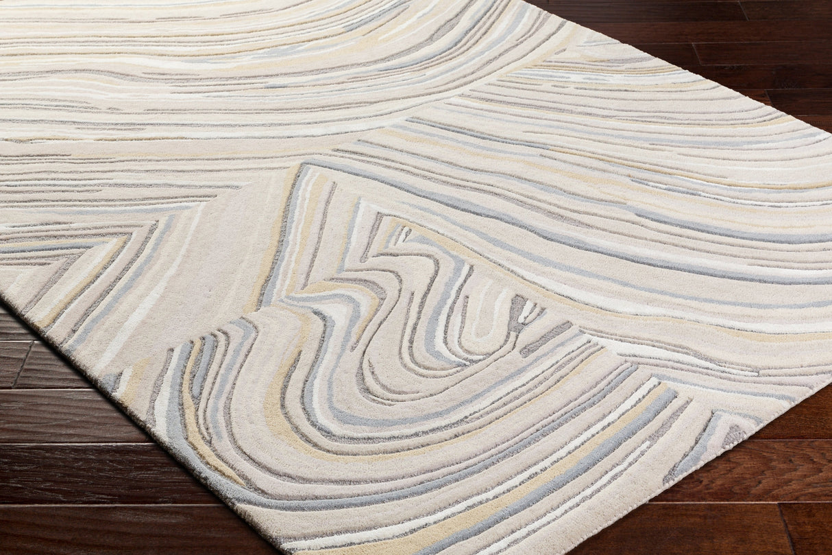 Surya Dreamscape Dsp-2303 Ash, Light Silver, Slate Grey Taupe, Metallic - Silver, Pewter Rug.