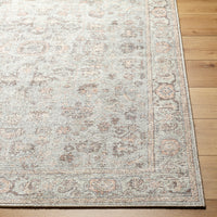 Surya Downtown Dtw-2321 Gray, Tan, Charcoal, Brown, Cream, Light Beige Area Rug