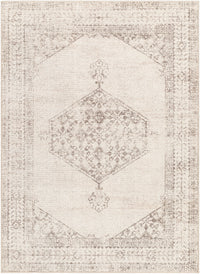 Surya Downtown Dtw-2324 Tan, Brown, Cream Area Rug