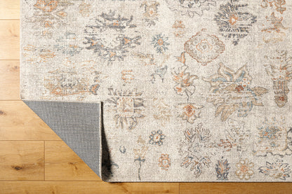 Surya Downtown Dtw-2326 Gray, Cream, Tan, Charcoal, Light Brown, Sky Blue Area Rug