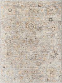 Surya Downtown Dtw-2327 Gray, Light Beige, Tan, Black, Amber, Brown Area Rug