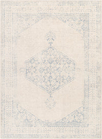 Surya Downtown Dtw-2329 Gray, Tan, Denim, Sky Blue Area Rug