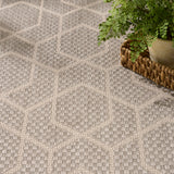 Nourison Horizon Indoor/Outdoor HOZ01 Grey Contemporary Area Rugs