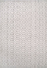 Dynamic Rugs Allegra 2987 Ivory/Silver Rug.