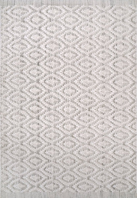 Dynamic Rugs Allegra 2987 Ivory/Silver Rug.