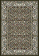 Dynamic Rugs Ancient Garden 57011 Black / Ivory Rugs.