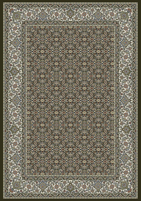 Dynamic Rugs Ancient Garden 57011 Black / Ivory Rugs.