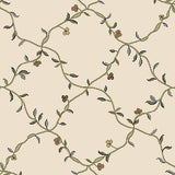 Dynamic Rugs Ancient Garden 57084 Ivory Rugs.