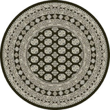 Dynamic Rugs Ancient Garden 57102 Charcoal / Silver Rugs.
