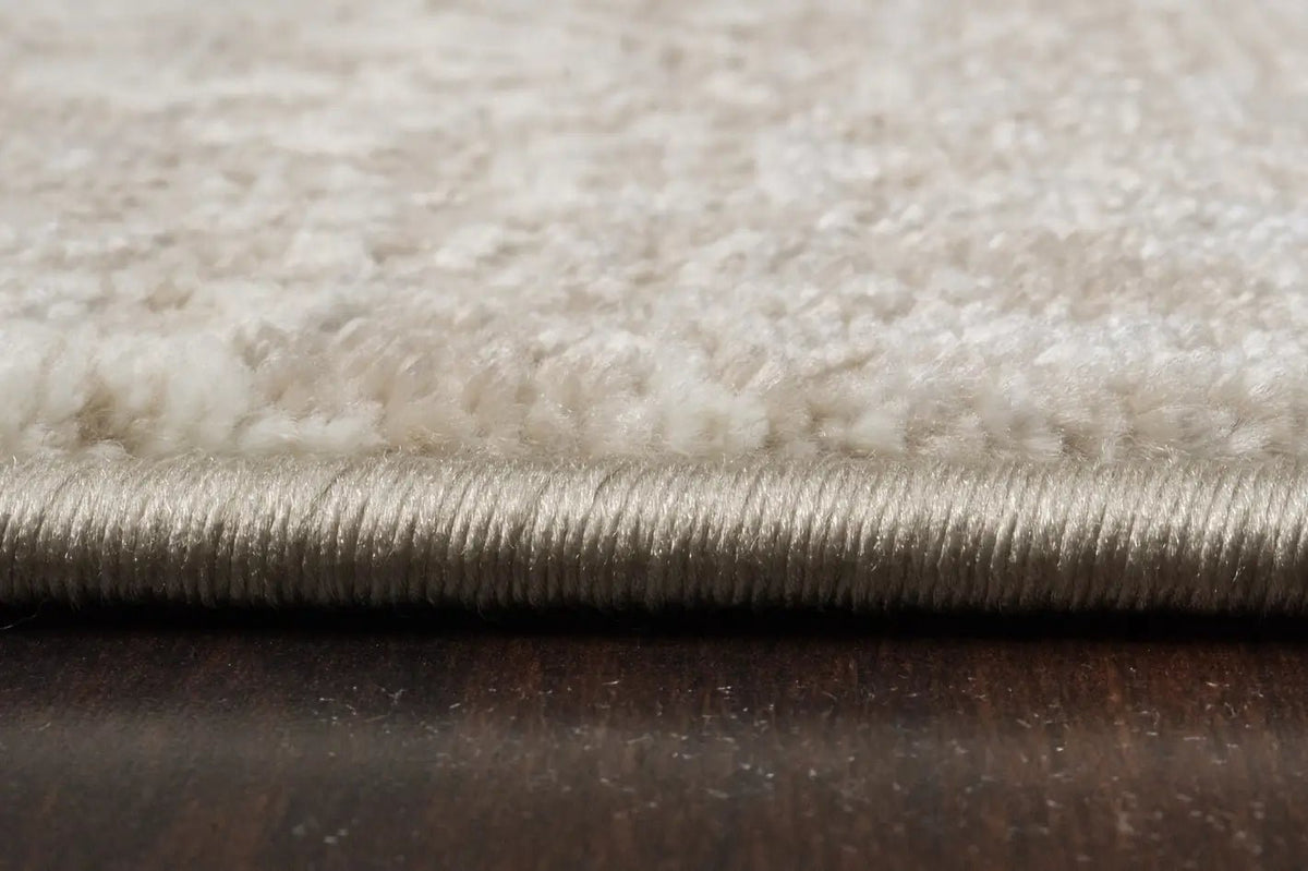 Dynamic Rugs Atlas 2573 Power Loomed Transitional Beige Rug - Pile