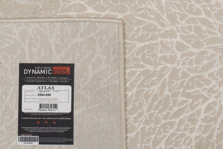 Dynamic Rugs Atlas 2584 Power Loomed Modern Beige/Grey Rug