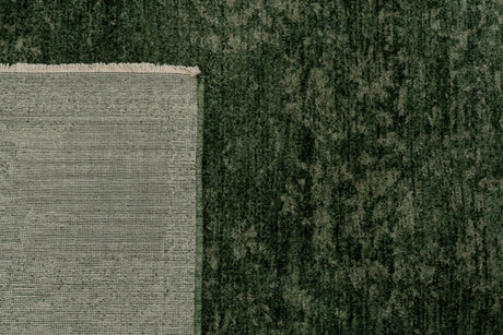 Dynamic Rugs Atmos 11980 Power Loomed Traditional Green Rug